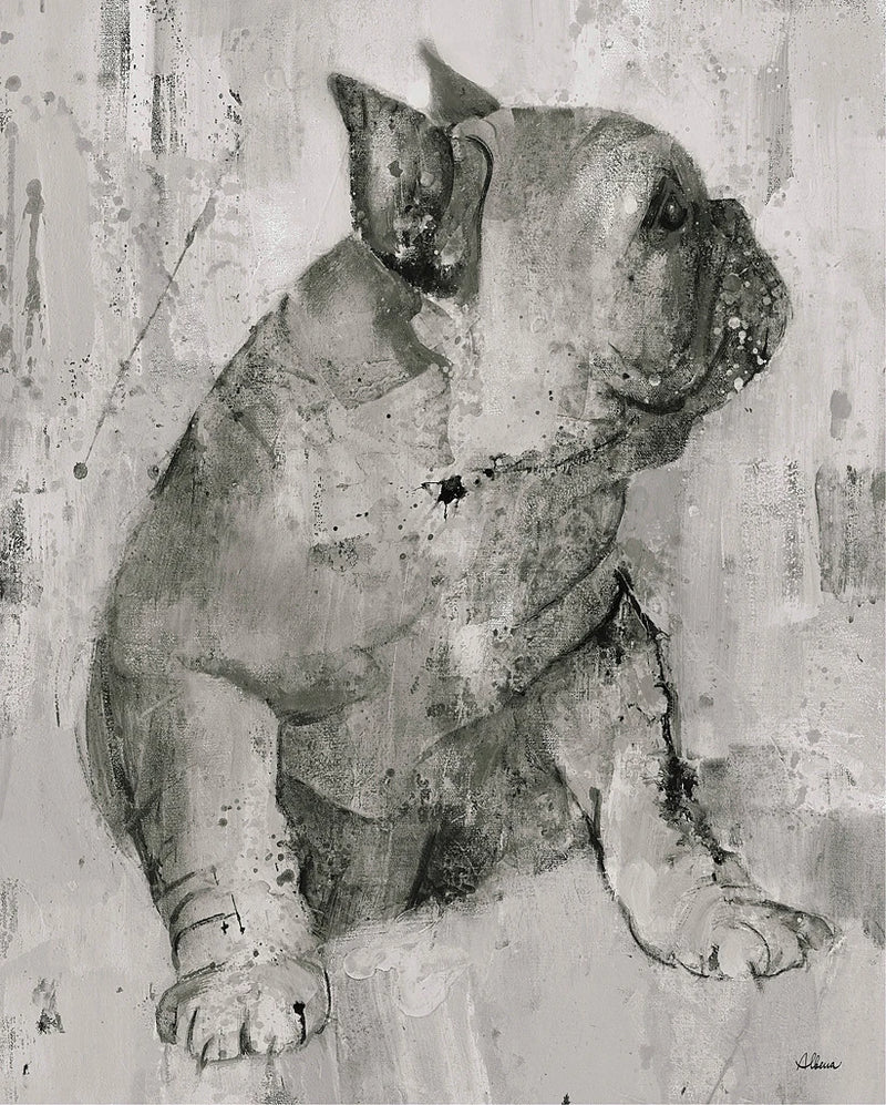 Duke in Grey Tones by Albena Hristova