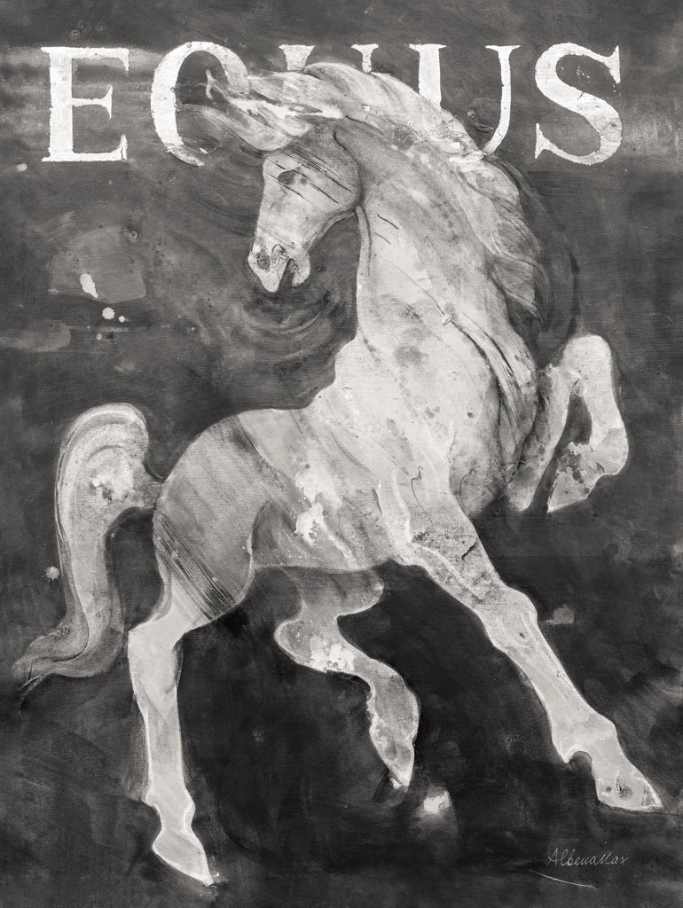 Equus Stallion BW by Albena Hristova