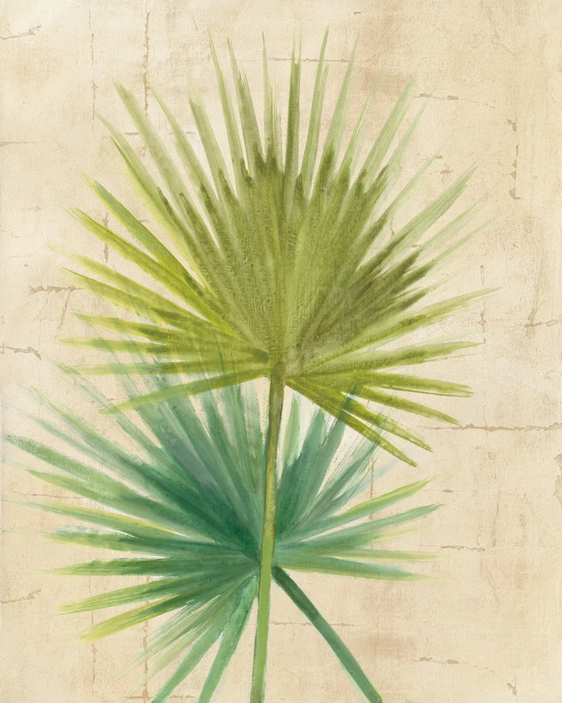 Fan Palm by Albena Hristova