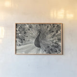 Fanfare Crop by Albena Hristova. shown as a paper print in a natural frame. Available as a archival giclee rolled canvas, fine art paper, or poster print. SKU 45725i.