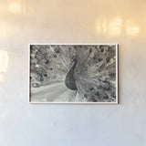 Fanfare Crop by Albena Hristova. shown as a paper print in a white frame. Available as a archival giclee rolled canvas, fine art paper, or poster print. SKU 45725i.