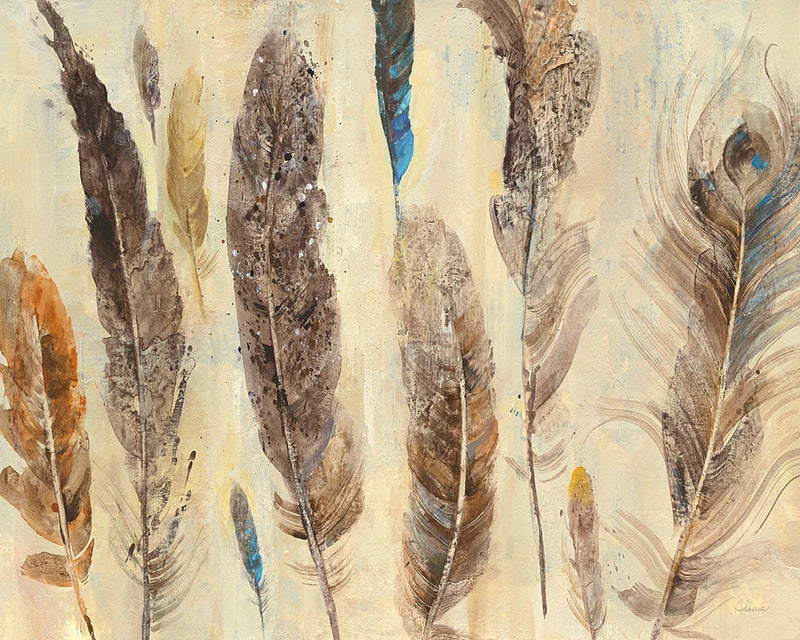 Feather Study by Albena Hristova