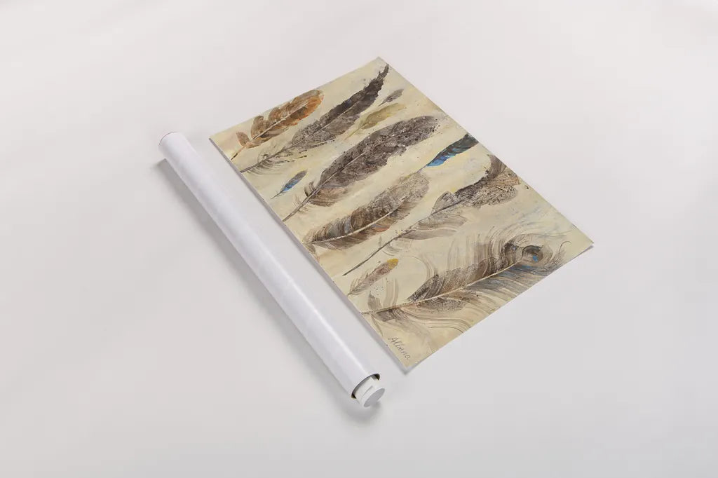 Feather Study by Albena Hristova. shown as a rolled paper print. Available as archival giclee rolled canvas, fine art paper, or poster print. SKU 24330i.