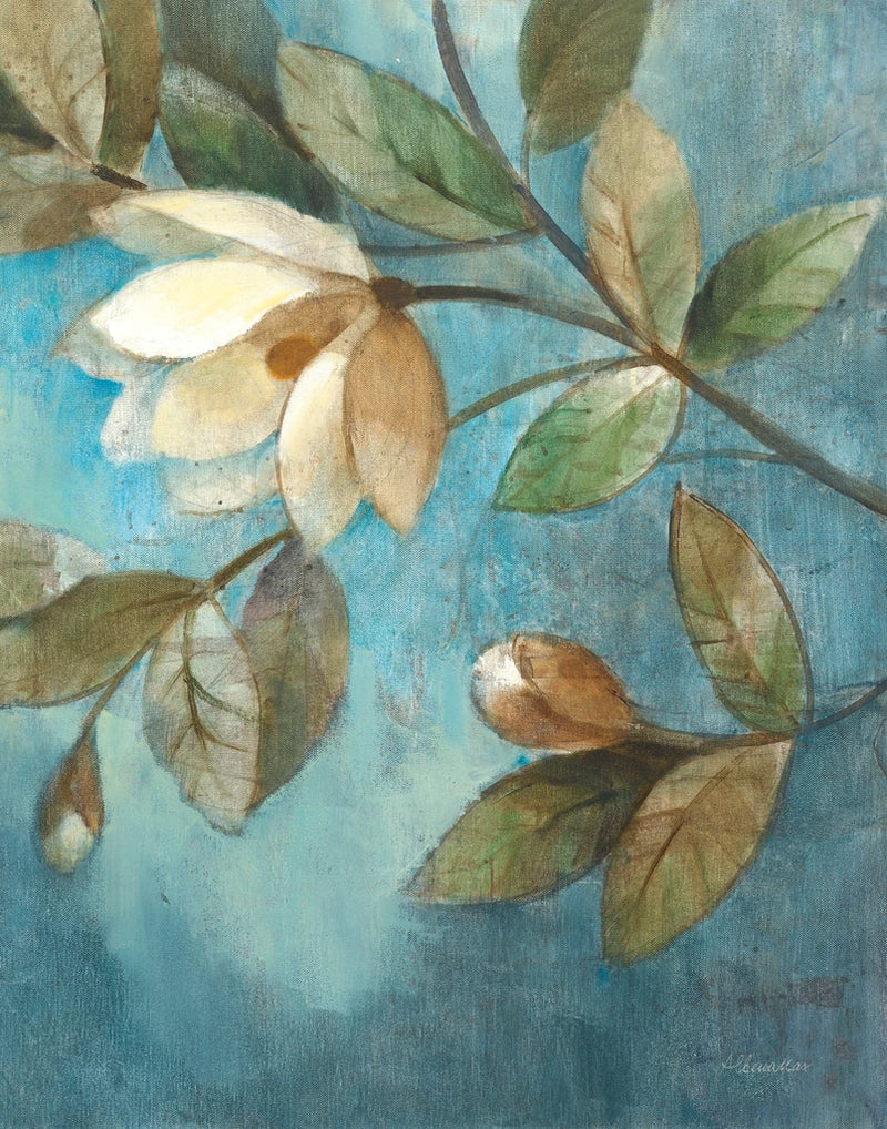 Floating Magnolias III by Albena Hristova