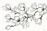 Flower Drawing by Albena Hristova. SKU 48090i. Archival Giclee Fine art print for wall decor.