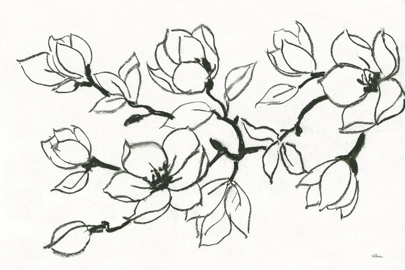 Flower Drawing by Albena Hristova. SKU 48090i. Archival Giclee Fine art print for wall decor.