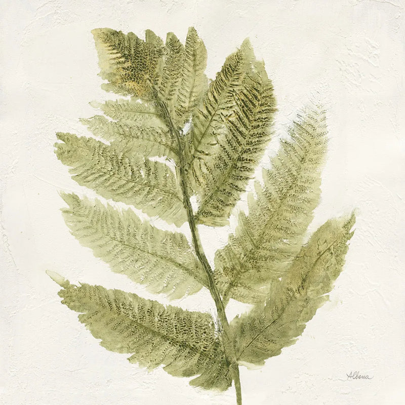 Forest Ferns I by Albena Hristova. SKU 36371a. Archival Giclee Fine art print for wall decor.