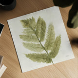 Forest Ferns I by Albena Hristova. Shown as a detailed flat fine art print, highlighting archival giclee quality. Available as an archival giclee rolled canvas, fine art paper, or poster print. SKU 36371a.