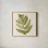 Forest Ferns I by Albena Hristova. Shown in a natural wood glass frame for a timeless modern aesthetic. Available as an archival giclee rolled canvas, fine art paper, or poster print. SKU 36371a.