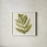 Forest Ferns I by Albena Hristova. Shown in a crisp white glass frame for a clean and minimalist style. Available as an archival giclee rolled canvas, fine art paper, or poster print. SKU 36371a.