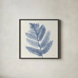Forest Ferns I Blue by Albena Hristova. Shown in a sleek black glass frame for a contemporary gallery look. Available as an archival giclee rolled canvas, fine art paper, or poster print. SKU 42748a.