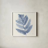 Forest Ferns I Blue by Albena Hristova. Shown in a crisp white glass frame for a clean and minimalist style. Available as an archival giclee rolled canvas, fine art paper, or poster print. SKU 42748a.