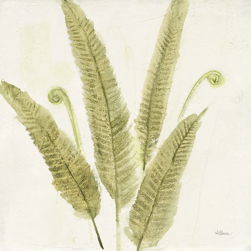 Forest Ferns II by Albena Hristova. SKU 36372a. Archival Giclee Fine art print for wall decor.