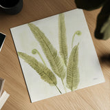 Forest Ferns II by Albena Hristova. Shown as a detailed flat fine art print, highlighting archival giclee quality. Available as an archival giclee rolled canvas, fine art paper, or poster print. SKU 36372a.