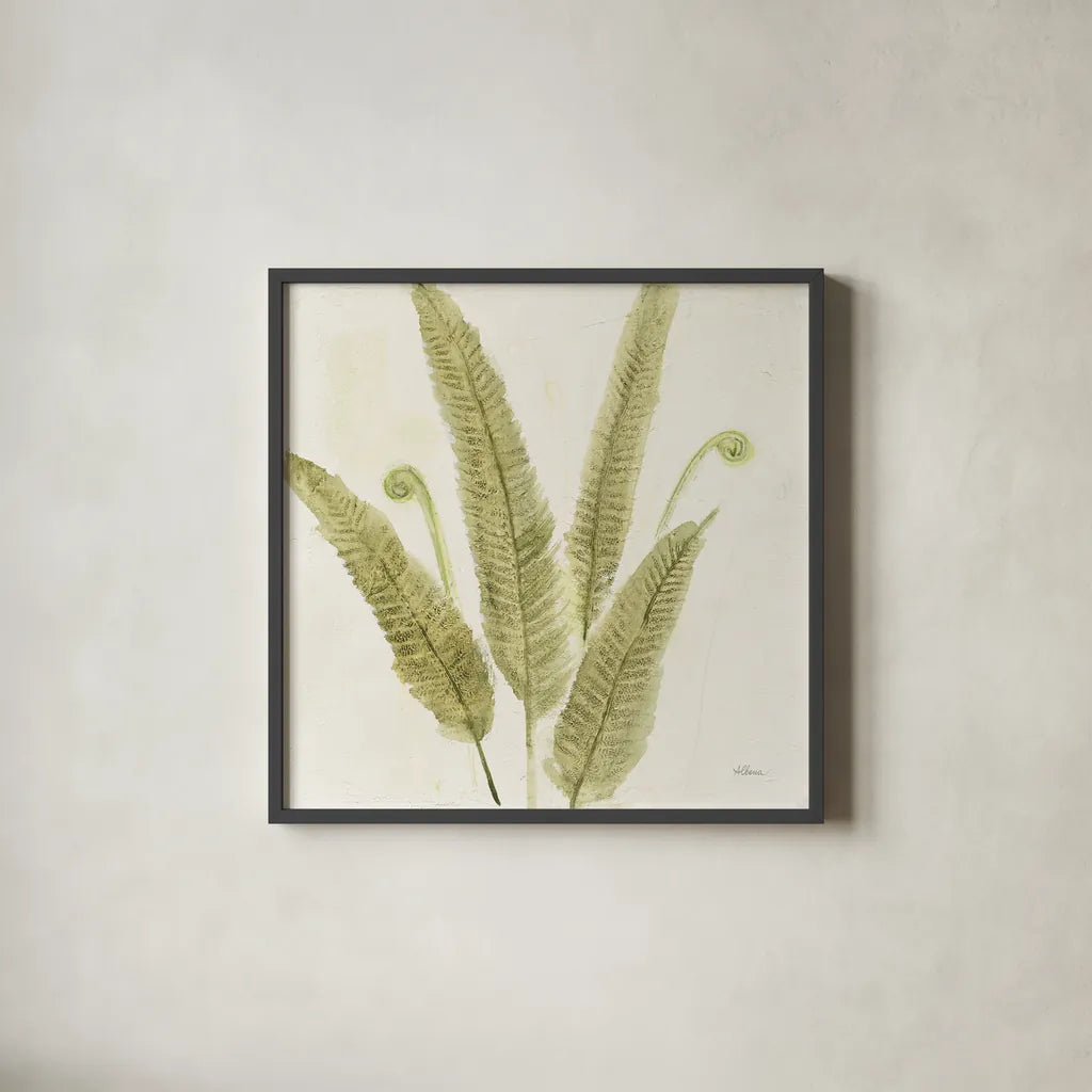 Forest Ferns II by Albena Hristova. Shown in a sleek black glass frame for a contemporary gallery look. Available as an archival giclee rolled canvas, fine art paper, or poster print. SKU 36372a.