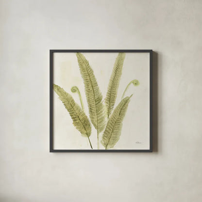 Forest Ferns II by Albena Hristova. Shown in a sleek black glass frame for a contemporary gallery look. Available as an archival giclee rolled canvas, fine art paper, or poster print. SKU 36372a.
