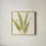Forest Ferns II by Albena Hristova. Shown in a natural wood glass frame for a timeless modern aesthetic. Available as an archival giclee rolled canvas, fine art paper, or poster print. SKU 36372a.