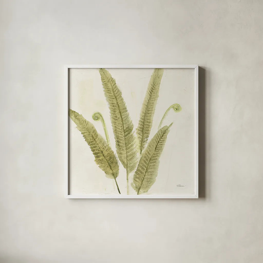 Forest Ferns II by Albena Hristova. Shown in a crisp white glass frame for a clean and minimalist style. Available as an archival giclee rolled canvas, fine art paper, or poster print. SKU 36372a.