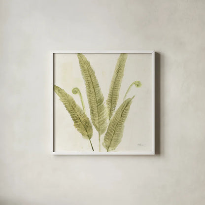 Forest Ferns II by Albena Hristova. Shown in a crisp white glass frame for a clean and minimalist style. Available as an archival giclee rolled canvas, fine art paper, or poster print. SKU 36372a.