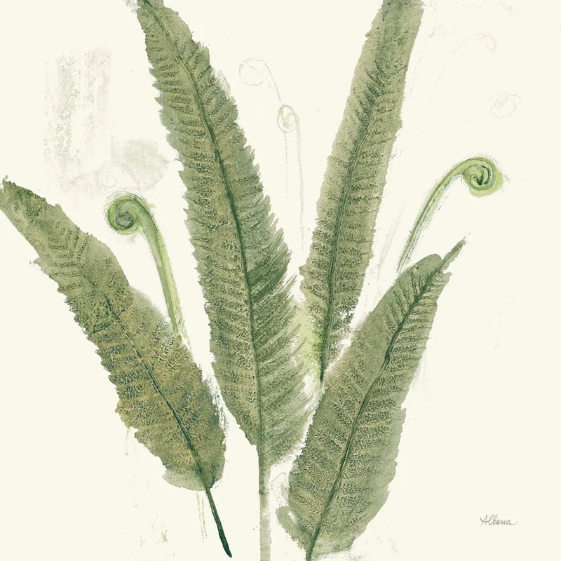 Forest Ferns II Dark by Albena Hristova. SKU 54077a. Archival Giclee Fine art print for wall decor.