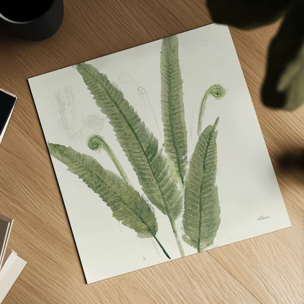 Forest Ferns II Dark by Albena Hristova. Shown as a detailed flat fine art print, highlighting archival giclee quality. Available as an archival giclee rolled canvas, fine art paper, or poster print. SKU 54077a.