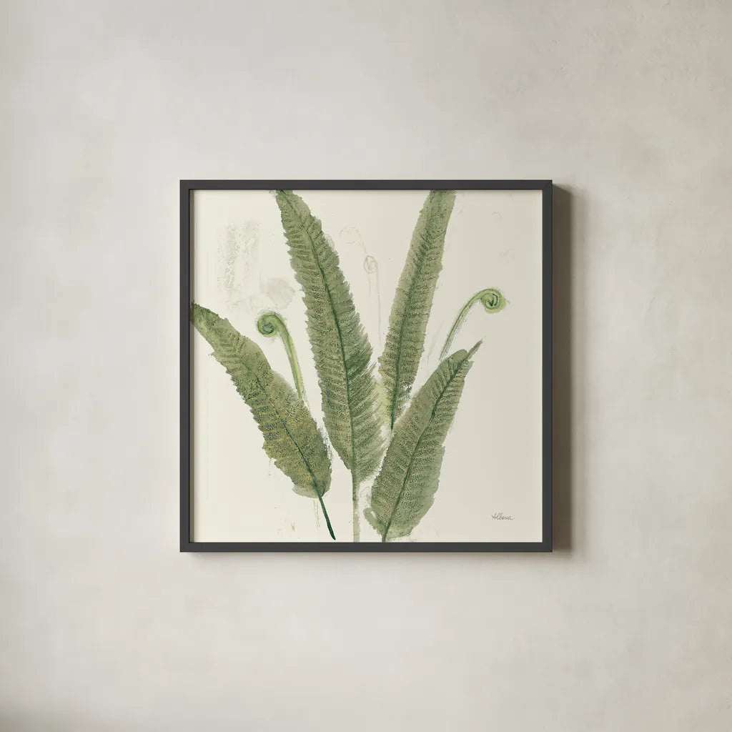 Forest Ferns II Dark by Albena Hristova. Shown in a sleek black glass frame for a contemporary gallery look. Available as an archival giclee rolled canvas, fine art paper, or poster print. SKU 54077a.