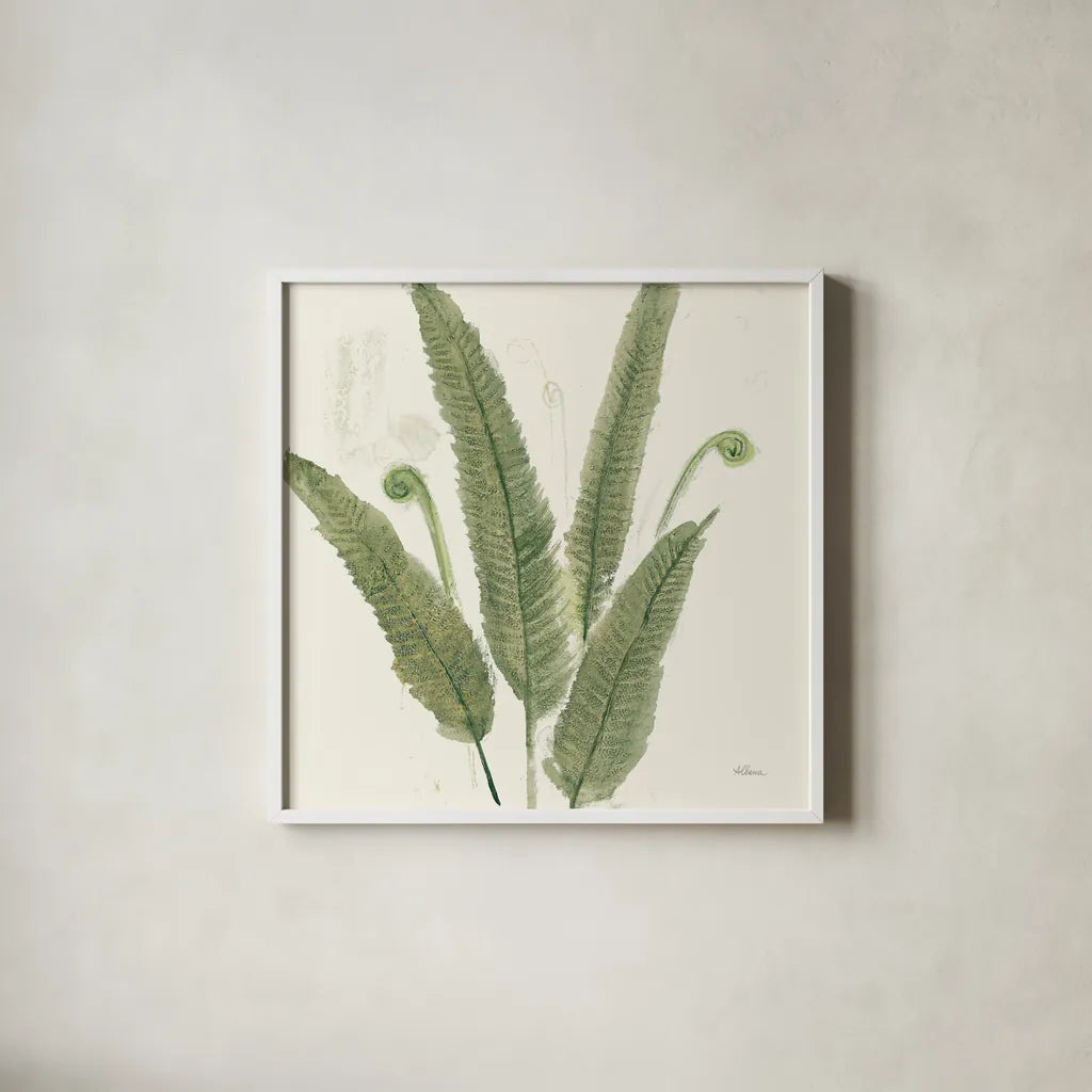 Forest Ferns II Dark by Albena Hristova. Shown in a crisp white glass frame for a clean and minimalist style. Available as an archival giclee rolled canvas, fine art paper, or poster print. SKU 54077a.