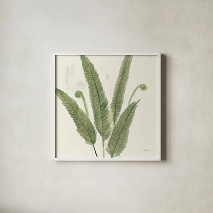 Forest Ferns II Dark by Albena Hristova. Shown in a crisp white glass frame for a clean and minimalist style. Available as an archival giclee rolled canvas, fine art paper, or poster print. SKU 54077a.