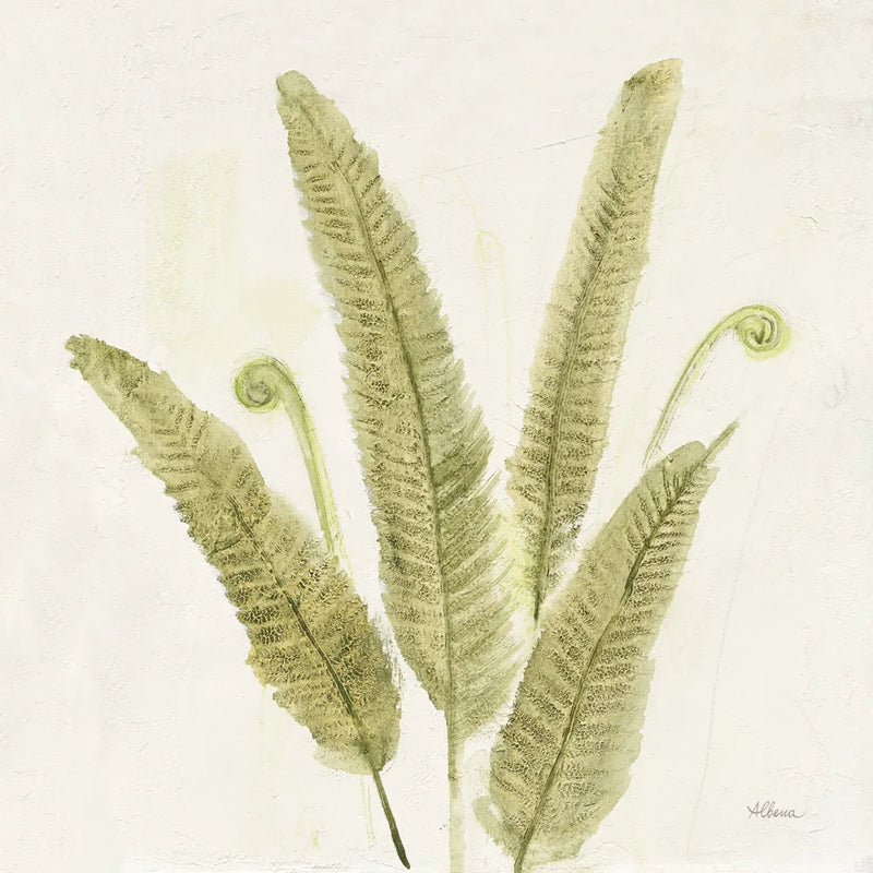 Forest Ferns II v2 by Albena Hristova. SKU 36988a. Archival Giclee Fine art print for wall decor.