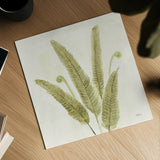 Forest Ferns II v2 by Albena Hristova. Shown as a detailed flat fine art print, highlighting archival giclee quality. Available as an archival giclee rolled canvas, fine art paper, or poster print. SKU 36988a.