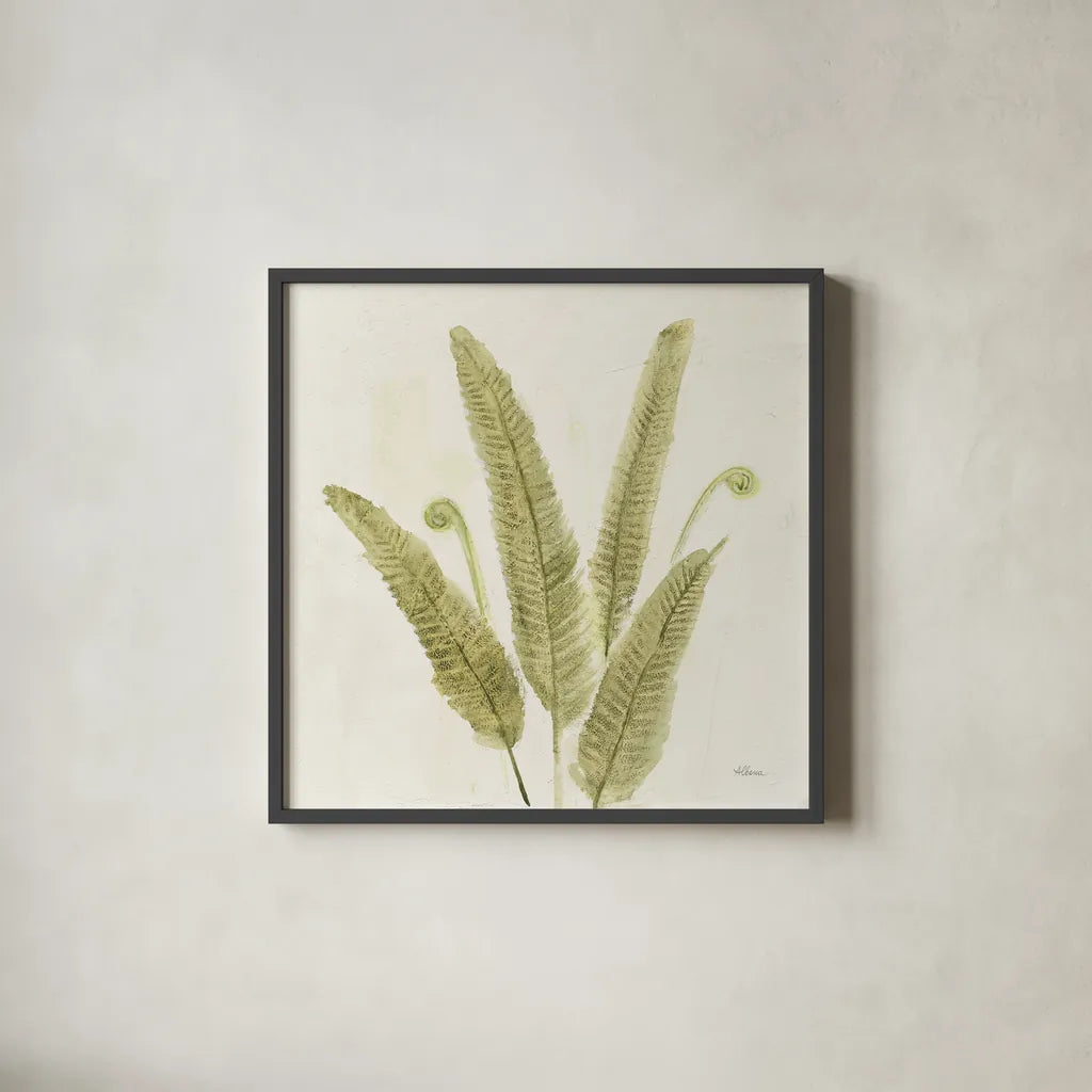 Forest Ferns II v2 by Albena Hristova. Shown in a sleek black glass frame for a contemporary gallery look. Available as an archival giclee rolled canvas, fine art paper, or poster print. SKU 36988a.