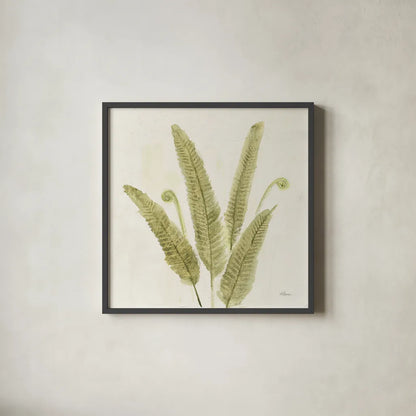 Forest Ferns II v2 by Albena Hristova. Shown in a sleek black glass frame for a contemporary gallery look. Available as an archival giclee rolled canvas, fine art paper, or poster print. SKU 36988a.