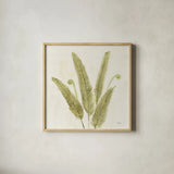 Forest Ferns II v2 by Albena Hristova. Shown in a natural wood glass frame for a timeless modern aesthetic. Available as an archival giclee rolled canvas, fine art paper, or poster print. SKU 36988a.