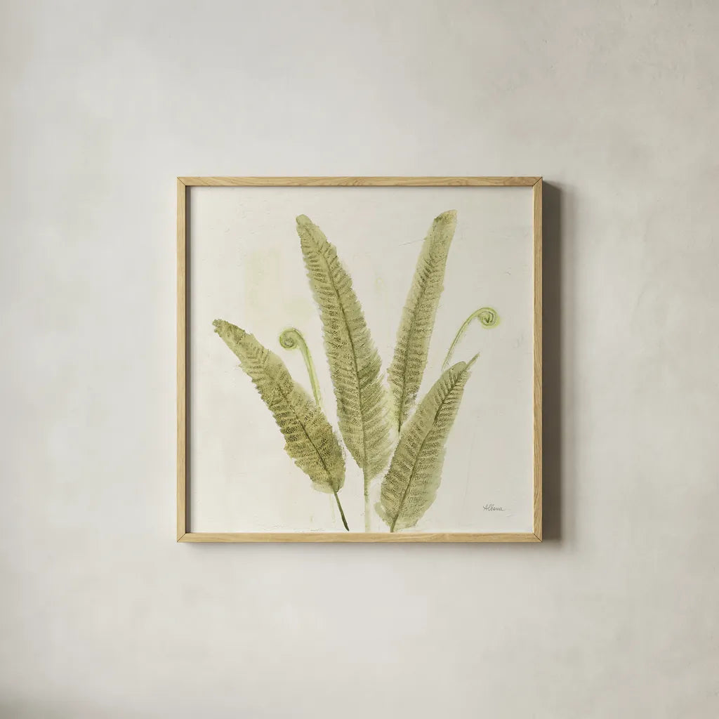 Forest Ferns II v2 by Albena Hristova. Shown in a natural wood glass frame for a timeless modern aesthetic. Available as an archival giclee rolled canvas, fine art paper, or poster print. SKU 36988a.