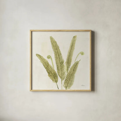 Forest Ferns II v2 by Albena Hristova. Shown in a natural wood glass frame for a timeless modern aesthetic. Available as an archival giclee rolled canvas, fine art paper, or poster print. SKU 36988a.