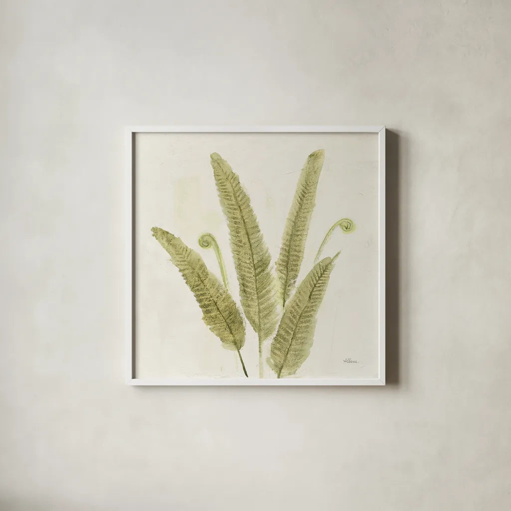 Forest Ferns II v2 by Albena Hristova. Shown in a crisp white glass frame for a clean and minimalist style. Available as an archival giclee rolled canvas, fine art paper, or poster print. SKU 36988a.