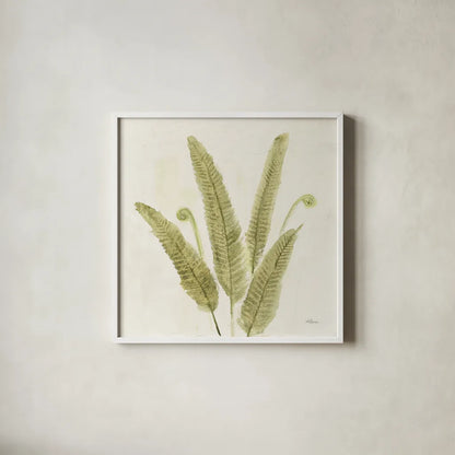 Forest Ferns II v2 by Albena Hristova. Shown in a crisp white glass frame for a clean and minimalist style. Available as an archival giclee rolled canvas, fine art paper, or poster print. SKU 36988a.