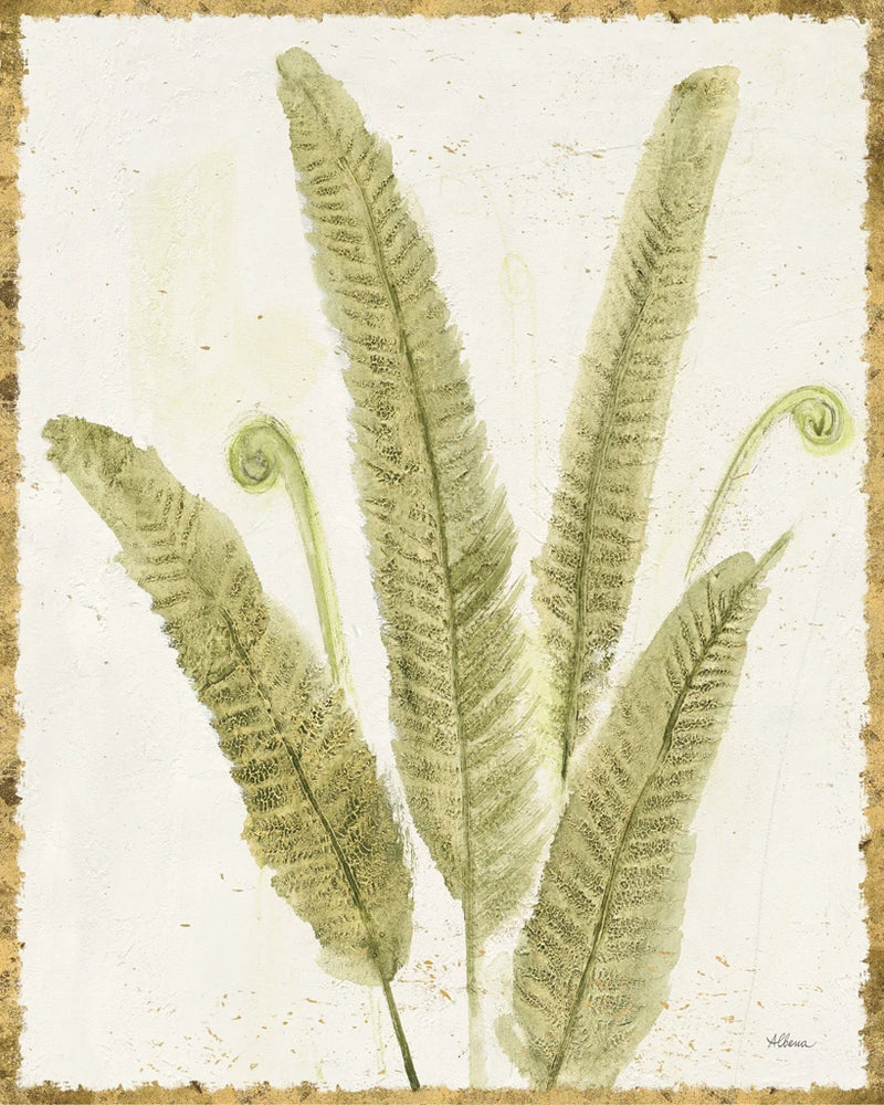 Forest Ferns II v2 Antique by Albena Hristova