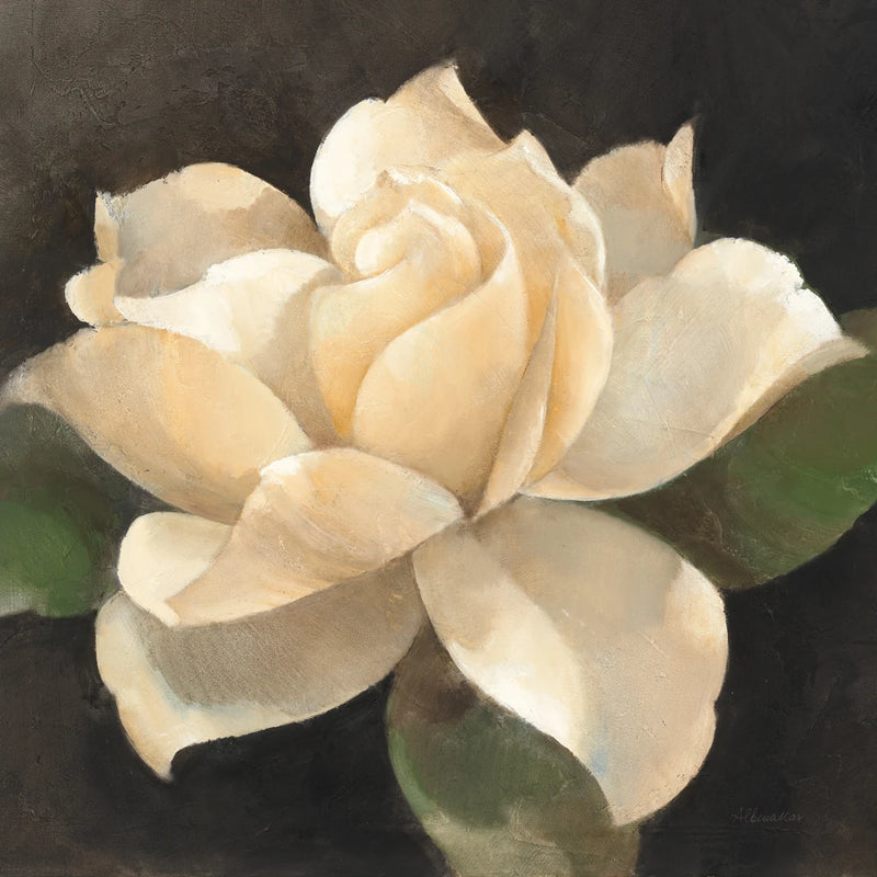 Gardenia Blossom by Albena Hristova