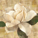 Gardenia Blossom on Script by Albena Hristova. SKU 22363a. Archival Giclee Fine art print for wall decor.