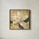 Gardenia Blossom on Script by Albena Hristova. Shown in a sleek black glass frame for a contemporary gallery look. Available as an archival giclee rolled canvas, fine art paper, or poster print. SKU 22363a.