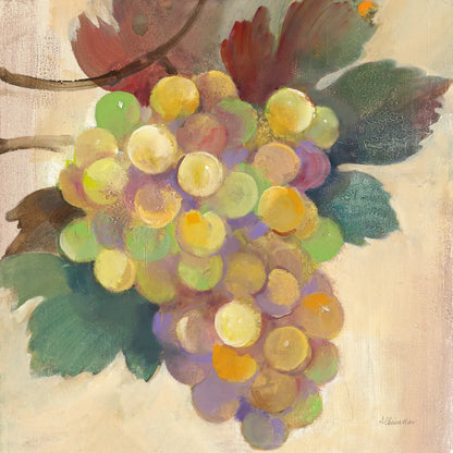 Grape Harvest I by Albena Hristova. SKU 55222a. Archival Giclee Fine art print for wall decor.