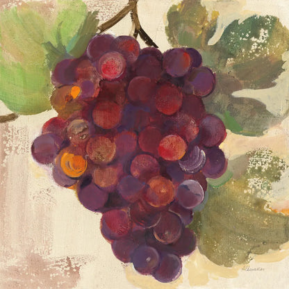 Grape Harvest II by Albena Hristova. SKU 55223a. Archival Giclee Fine art print for wall decor.