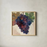 Grape Harvest IV by Albena Hristova. Shown in a natural wood glass frame for a timeless modern aesthetic. Available as an archival giclee rolled canvas, fine art paper, or poster print. SKU 55225a.