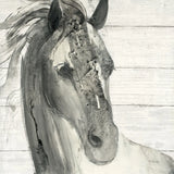 In the Wind I Shiplap by Albena Hristova. SKU 38818a. Archival Giclee Fine art print for wall decor.