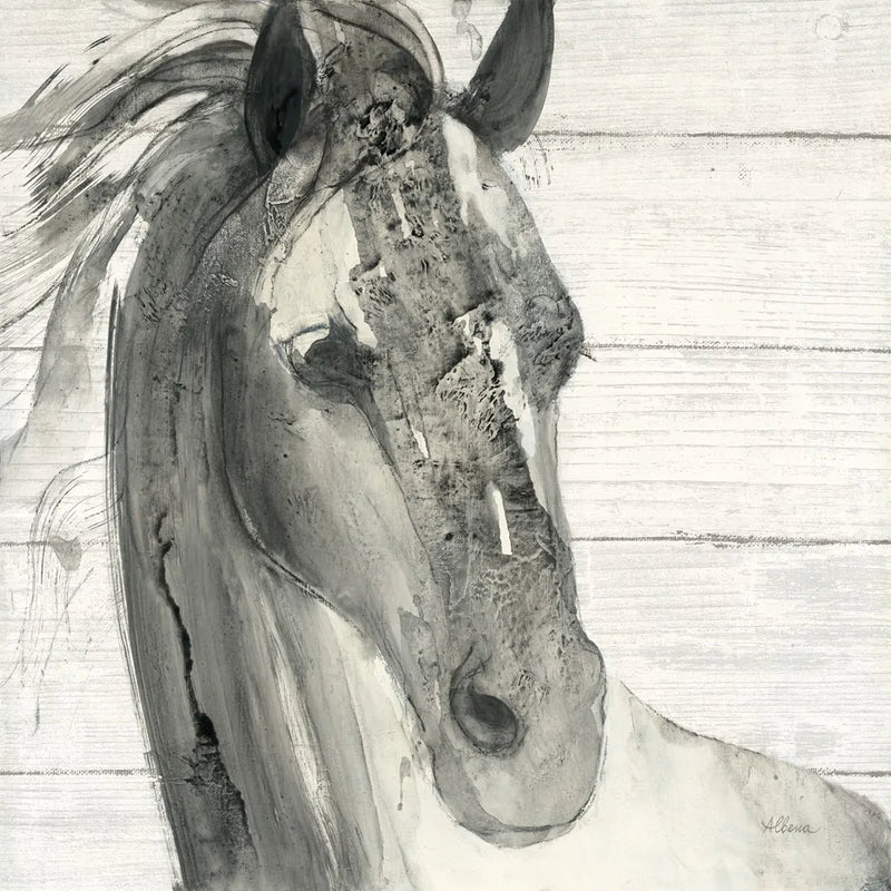 In the Wind I Shiplap by Albena Hristova. SKU 38818a. Archival Giclee Fine art print for wall decor.