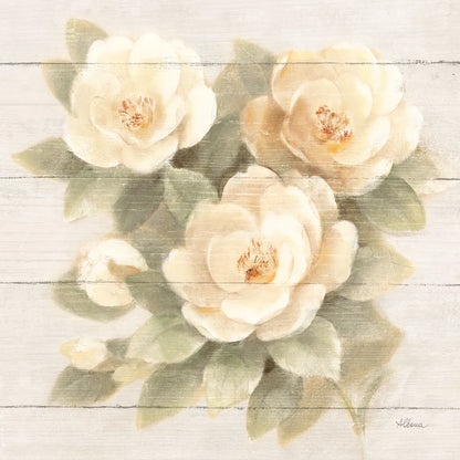 Ivory Camelia on Wood by Albena Hristova. SKU 44748a. Archival Giclee Fine art print for wall decor.