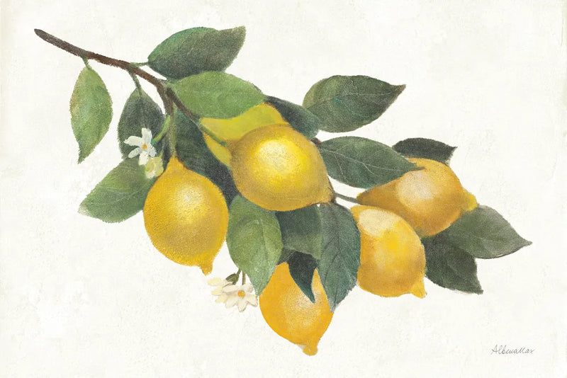 Lemon Branch I by Albena Hristova. SKU 72451i. Archival Giclee Fine art print for wall decor.