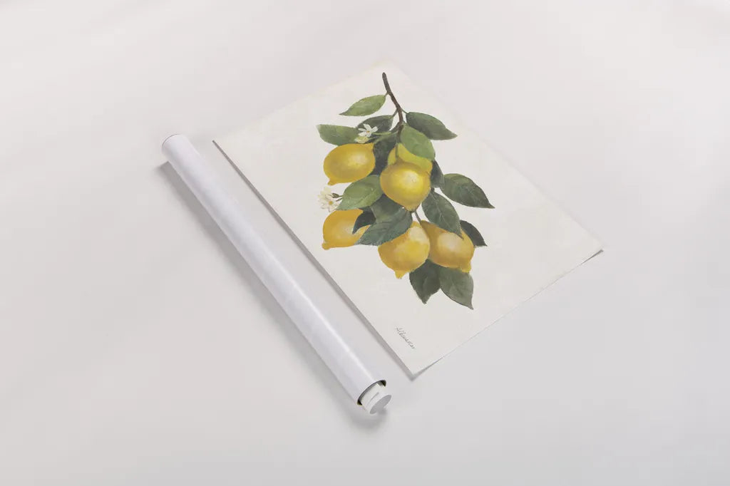 Lemon Branch I by Albena Hristova. shown as a rolled paper print. Available as archival giclee rolled canvas, fine art paper, or poster print. SKU 72451i.