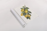 Lemon Branch I by Albena Hristova. shown as a rolled paper print. Available as archival giclee rolled canvas, fine art paper, or poster print. SKU 72451i.